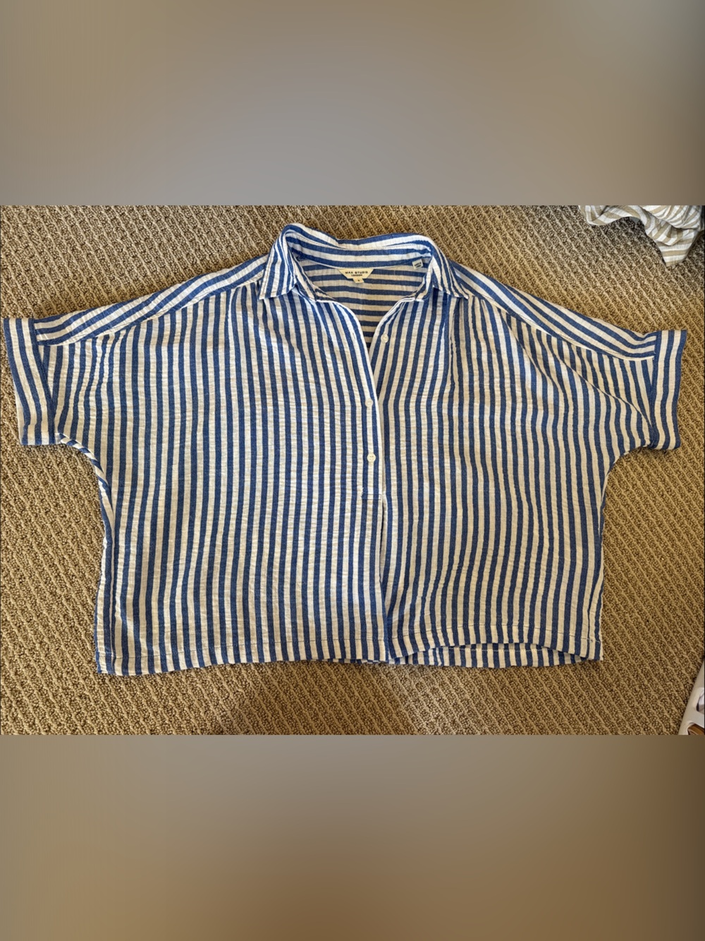 Max Studio Blue and White Striped Men’s Shorts